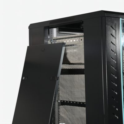 Alpha 42U Network Cabinet