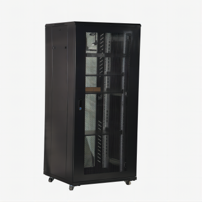 Alpha 42U Network Cabinet